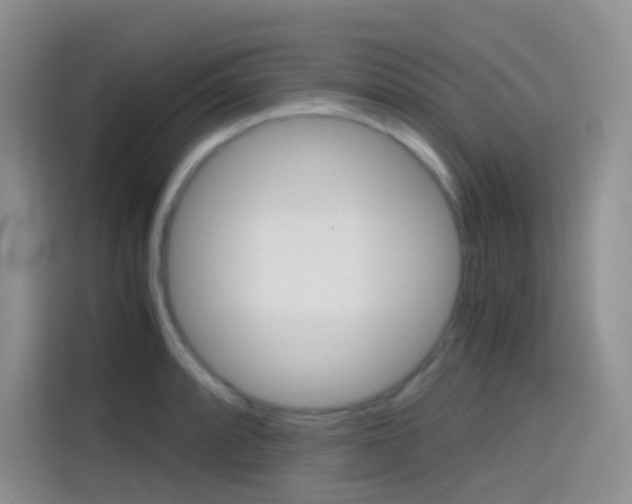 X0000114431088200910161027