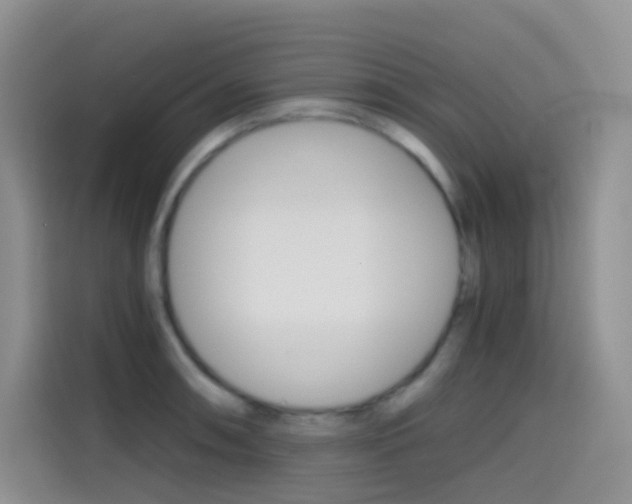 X0000114431090200910161027