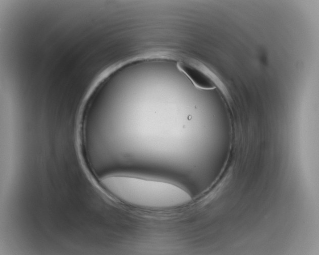 X0000114431093200910161027