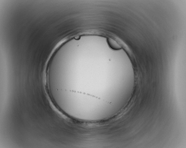 X0000114431095200910161027