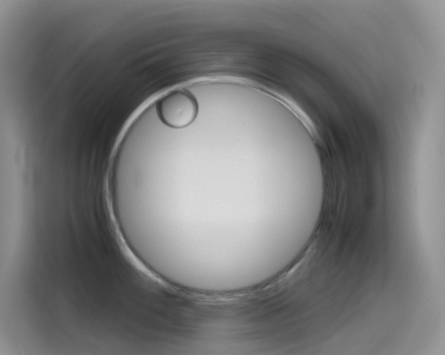 X0000114431100200910161027