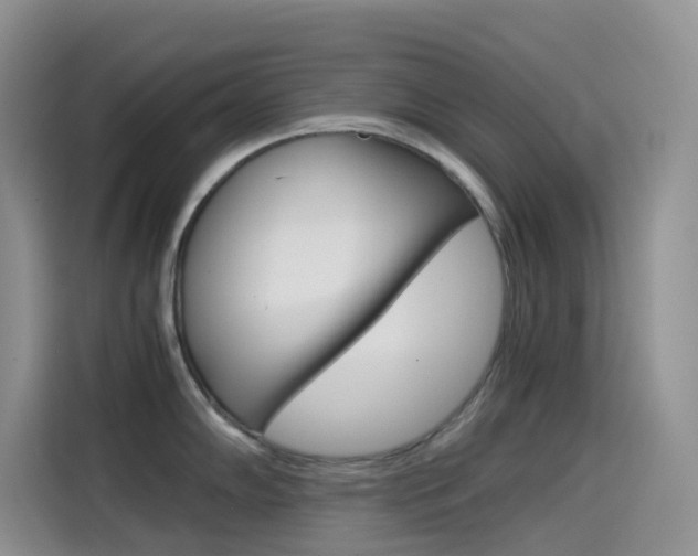 X0000114431102200910161027