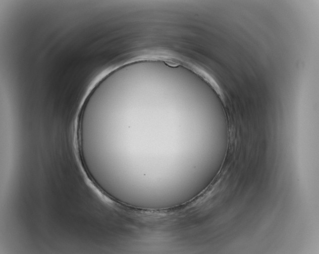 X0000114431103200910161027