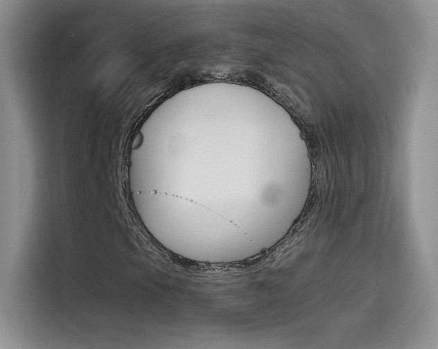 X0000114431105200910161026