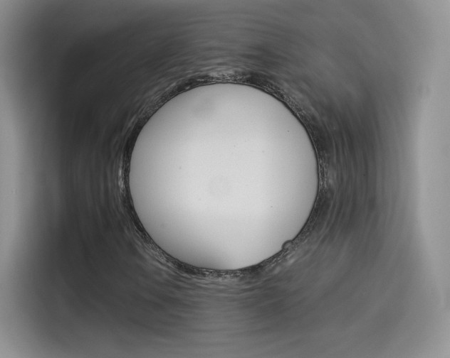 X0000114431106200910161026