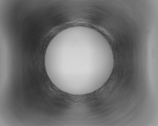 X0000114431110200910161026