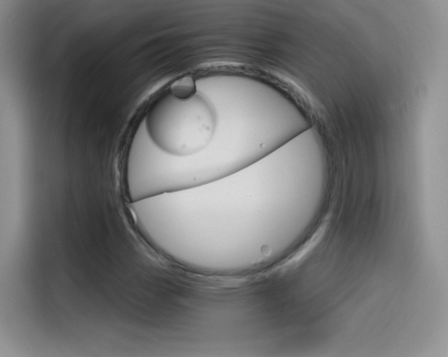 X0000114431113200910161026
