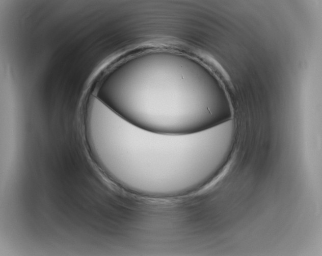 X0000114431114200910161026