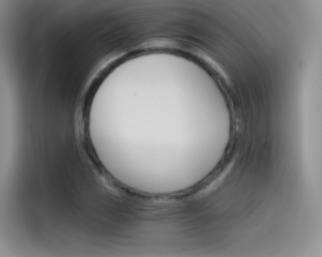 X0000114431117200910161026