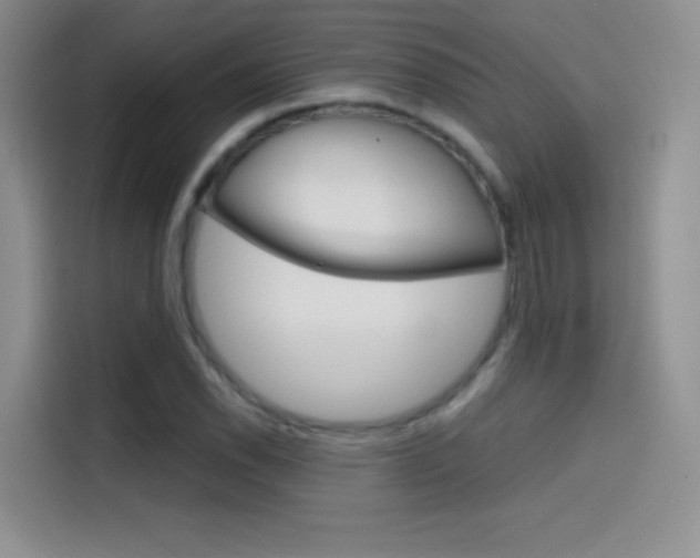 X0000114431118200910161026