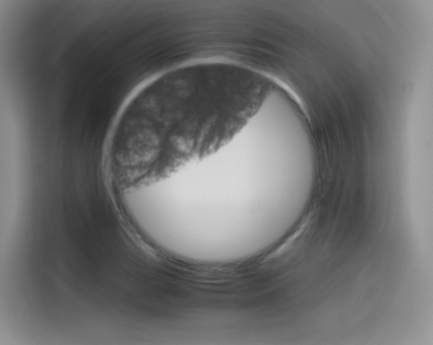 X0000114431119200910161026