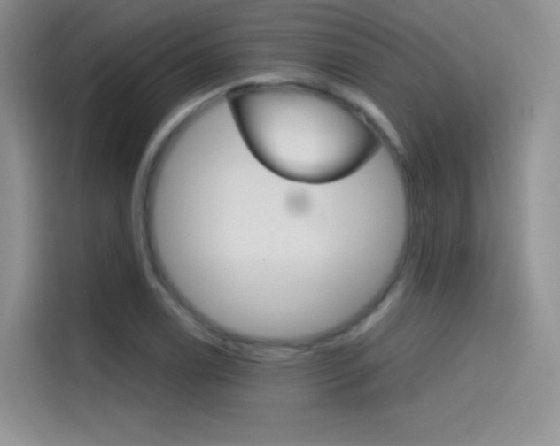 X0000114431122200910161026