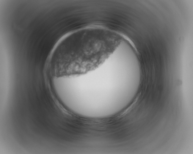 X0000114431123200910161026