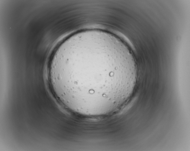 X0000114431125200910161026