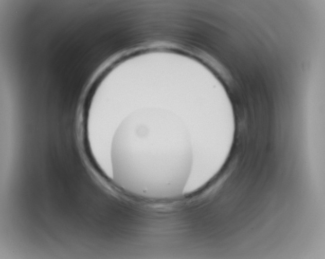 X0000114431126200910161026