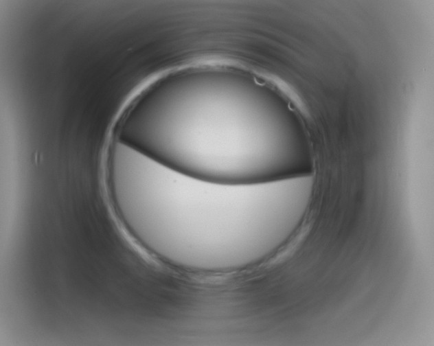 X0000114431134200910161027
