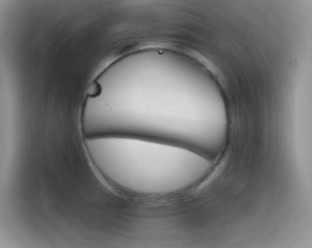 X0000114431137200910161027