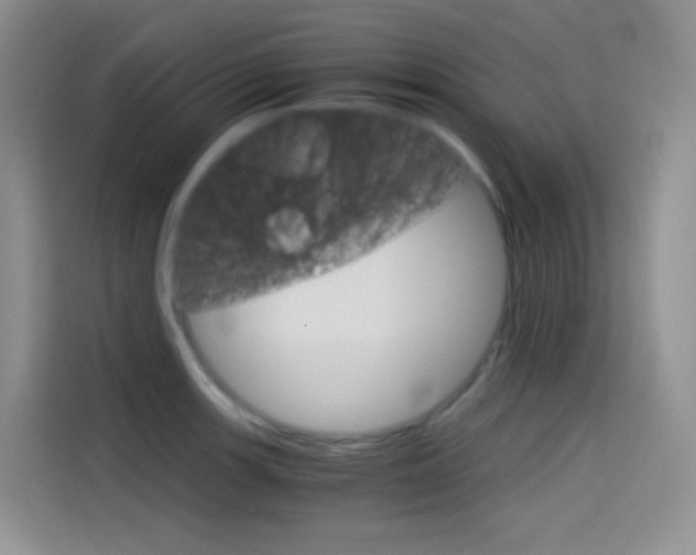 X0000114431139200910161027