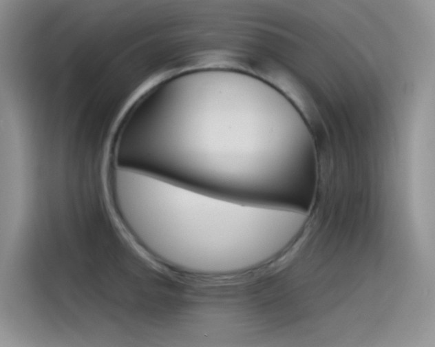 X0000114431142200910161027