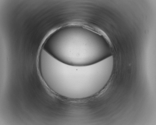 X0000114431146200910161027