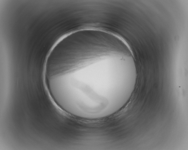 X0000114431147200910161027
