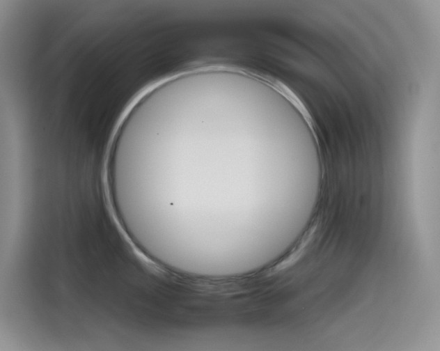 X0000114431149200910161027