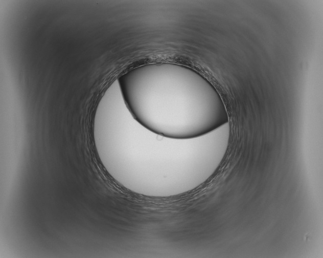 X0000114431153200910161026
