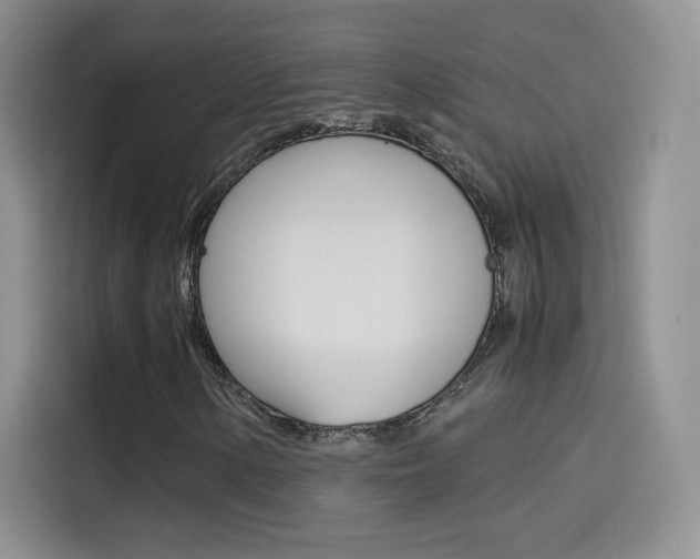 X0000114431154200910161026