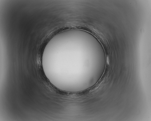 X0000114431155200910161026