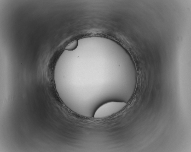 X0000114431158200910161026
