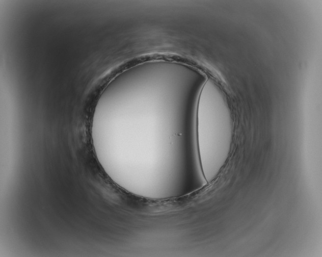 X0000114431159200910161026