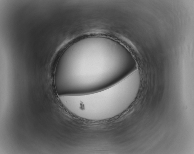 X0000114431160200910161026