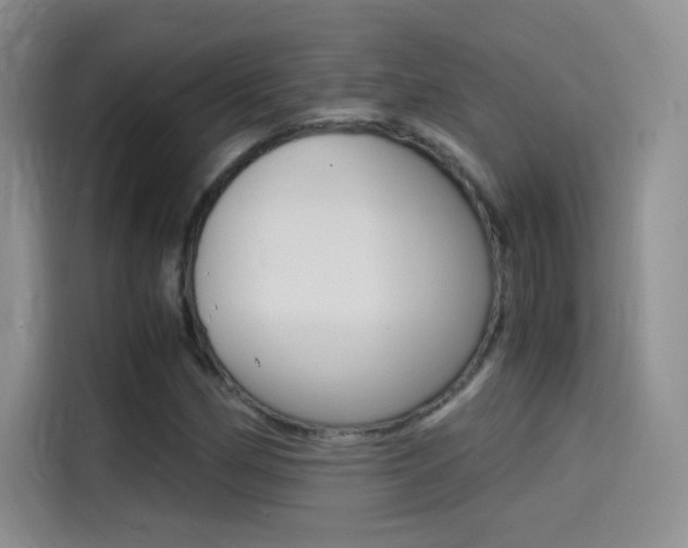 X0000114431162200910161026