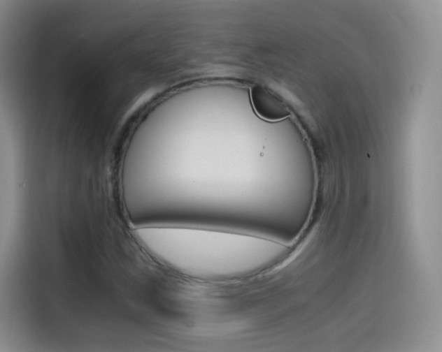 X0000114431163200910161026