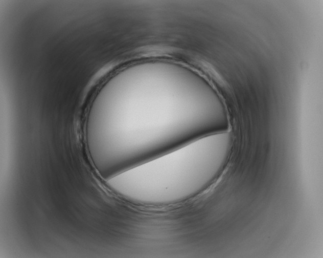 X0000114431164200910161026