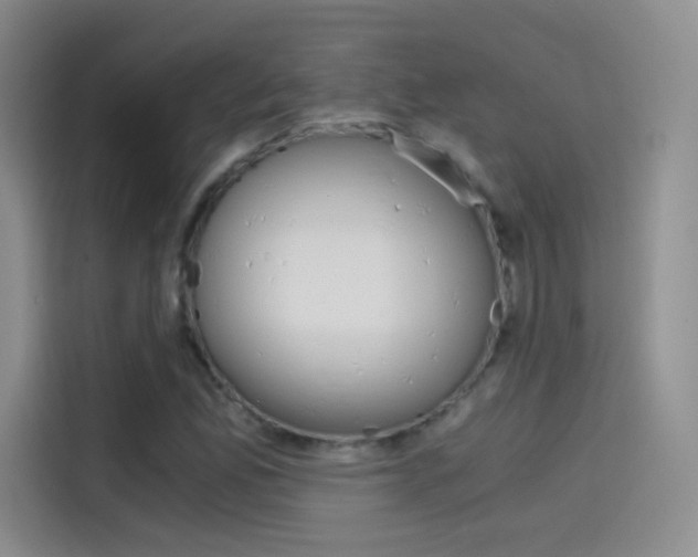 X0000114431165200910161026