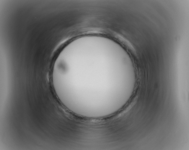 X0000114431166200910161026
