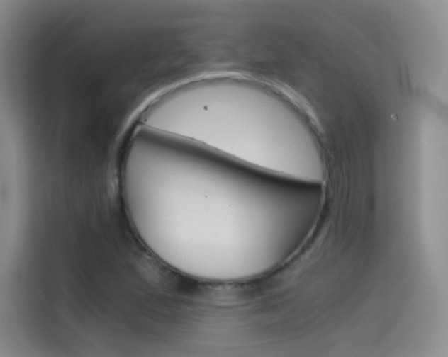 X0000114431167200910161026