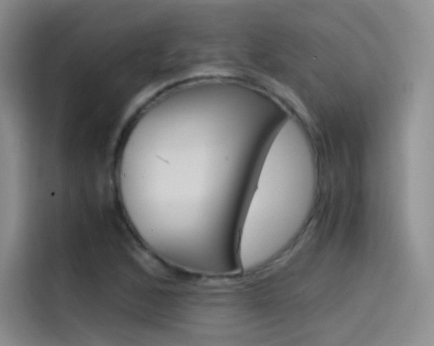 X0000114431168200910161026