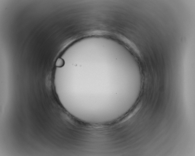 X0000114431170200910161026