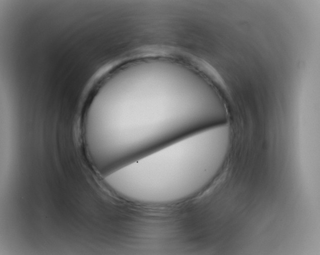 X0000114431172200910161026