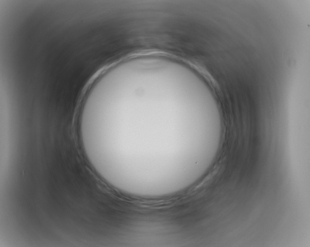 X0000114431173200910161026