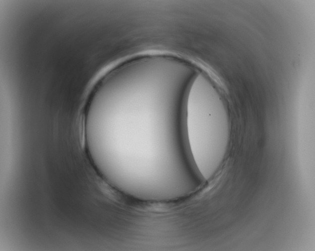 X0000114431175200910161026
