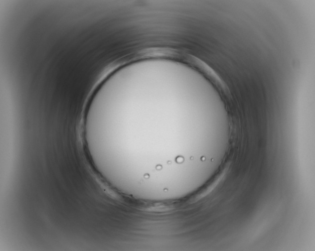 X0000114431178200910161026