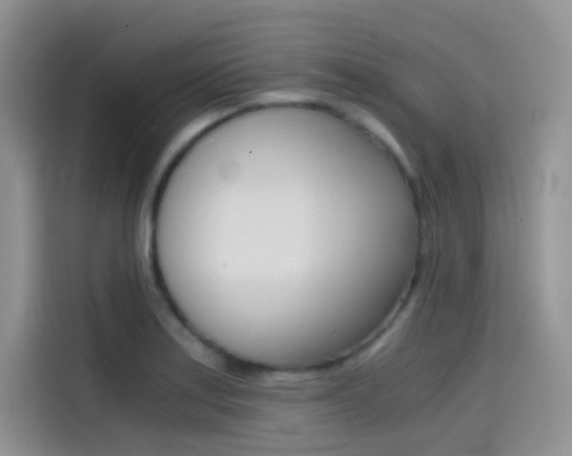 X0000114431179200910161026