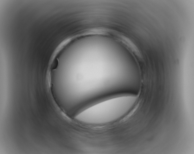 X0000114431180200910161026