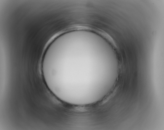 X0000114431182200910161026