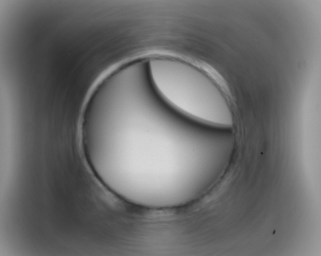 X0000114431183200910161026