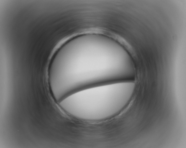 X0000114431184200910161026
