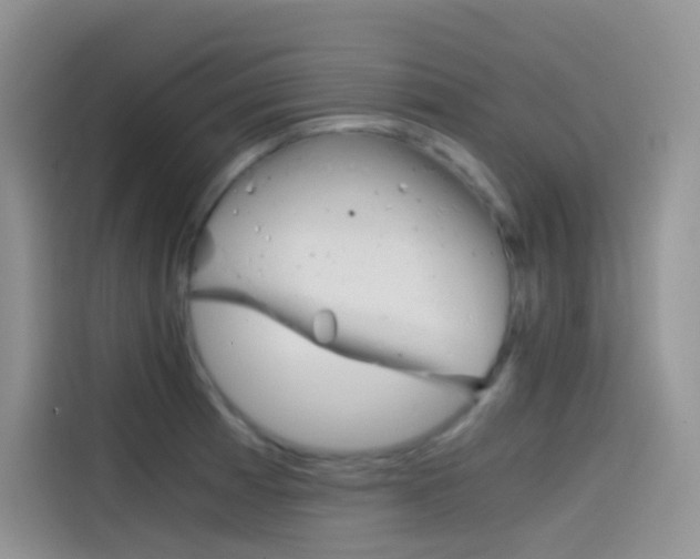 X0000114431185200910161026